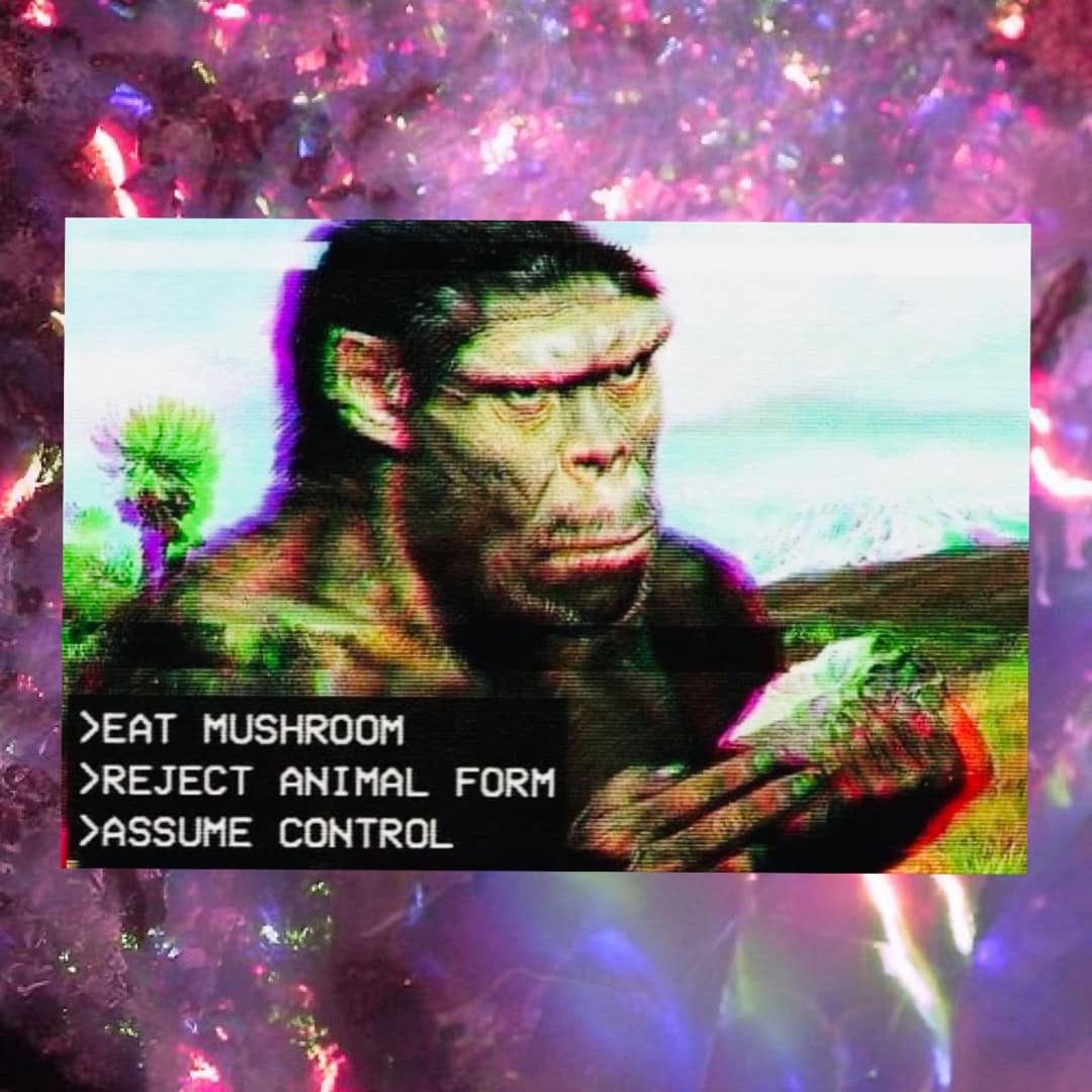 This meme features a screenshot from the 1996 video game "Dino Dinosaur" (a game known for its poor graphics and humorous glitches). The image shows a dinosaur character with a puzzled expression, and the text "Dino Dinosaur says" appears above the dinosaur. Below the dinosaur, the text "Eat mushroom. Reject animal form. Assume control." is written in a style reminiscent of a video game menu.